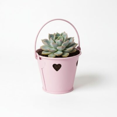 Secchielli in metallo rosa con cuori