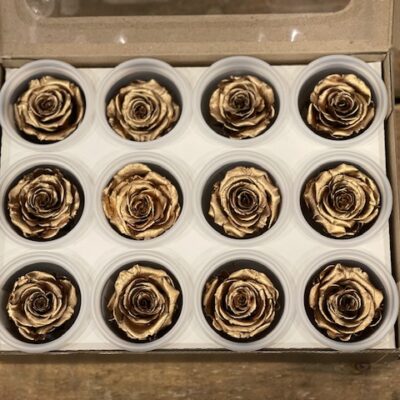 Rosa stabilizzata colore oro