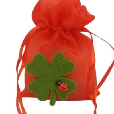 Sacchetto per laurea in organza rossa