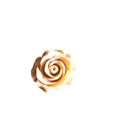 Ultime 15 rose plastica beige 3cm
