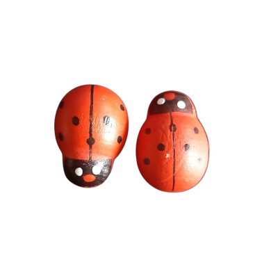 Coccinella in legno con biadesivo