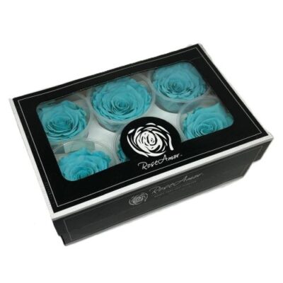 Rosa stabilizzata colore acquamarina