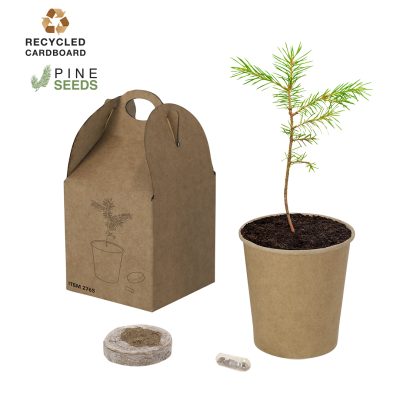 Vaso bio con piantina naturale