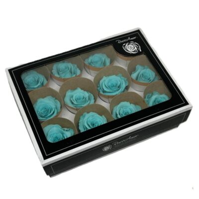 Rosa stabilizzata colore tiffany