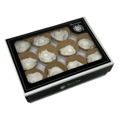 Rosa stabilizzata colore bianco