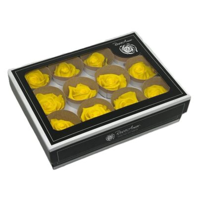 Rosa stabilizzata colore giallo intenso