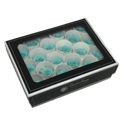Rosa stabilizzata colore tiffany