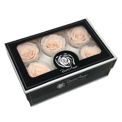 Rosa stabilizzata colore cipria