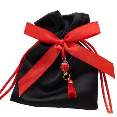 Sacchetto laurea nero con coccinella