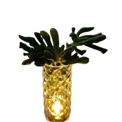 Porta pianta con luce led