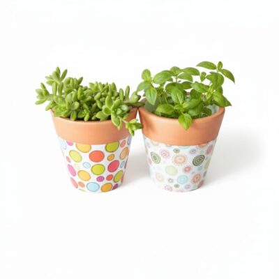 Vasetti porta piante due stampe colorate