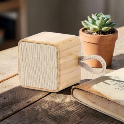Cassa wireless con connessione Bluetooth
