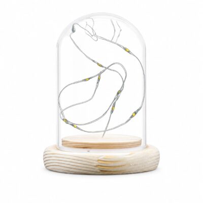 Campana vetro base legno con luci al led